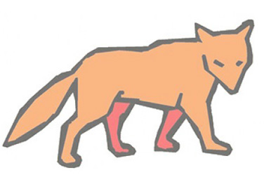 fox-cat