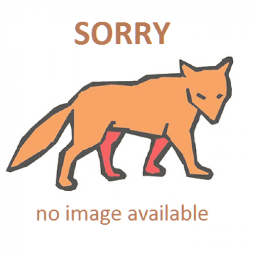fox-sorry
